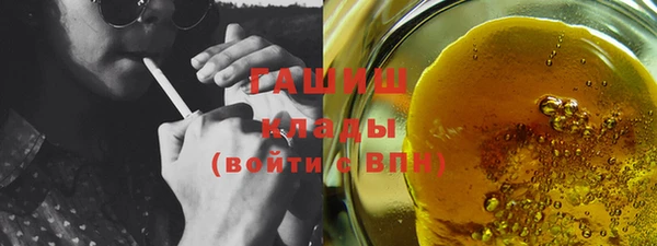 сатива Беломорск