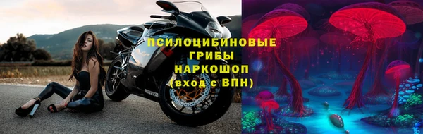 PSILOCYBIN Богданович