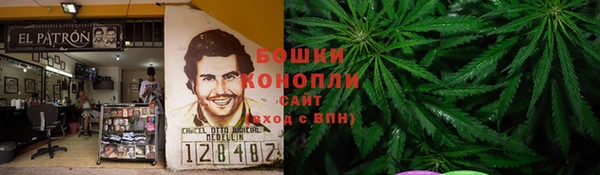 PSILOCYBIN Богданович