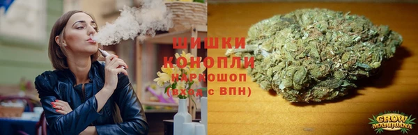 шишки Богородицк