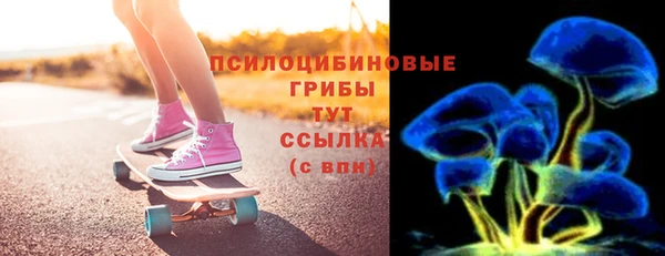 шишки Богородицк