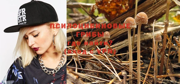 PSILOCYBIN Богданович