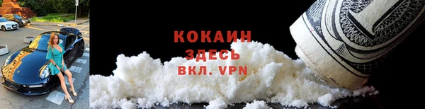 шишки Богородицк