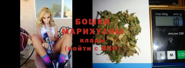 шишки Богородицк