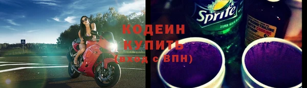 шишки Богородицк