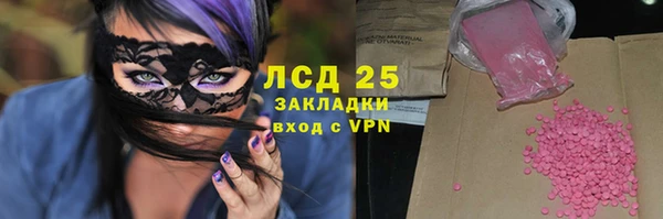 PSILOCYBIN Богданович
