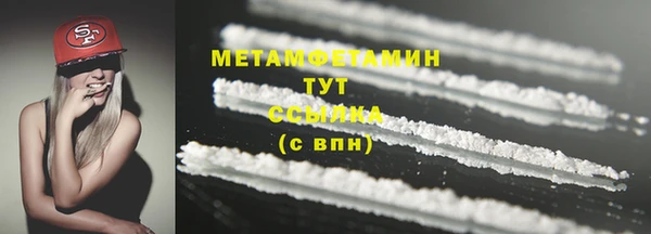 шишки Богородицк