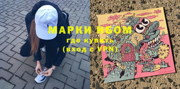 шишки Богородицк