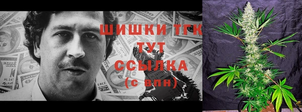 PSILOCYBIN Богданович
