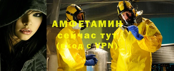 шишки Богородицк
