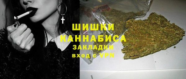 шишки Богородицк