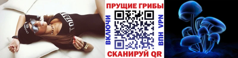 купить наркоту  Цимлянск  Галлюциногенные грибы ЛСД 